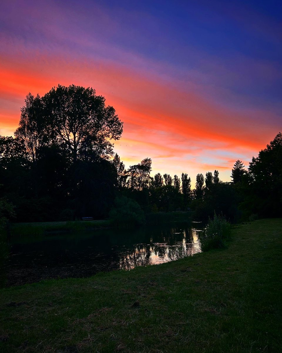 Dr David Bennett tweet media