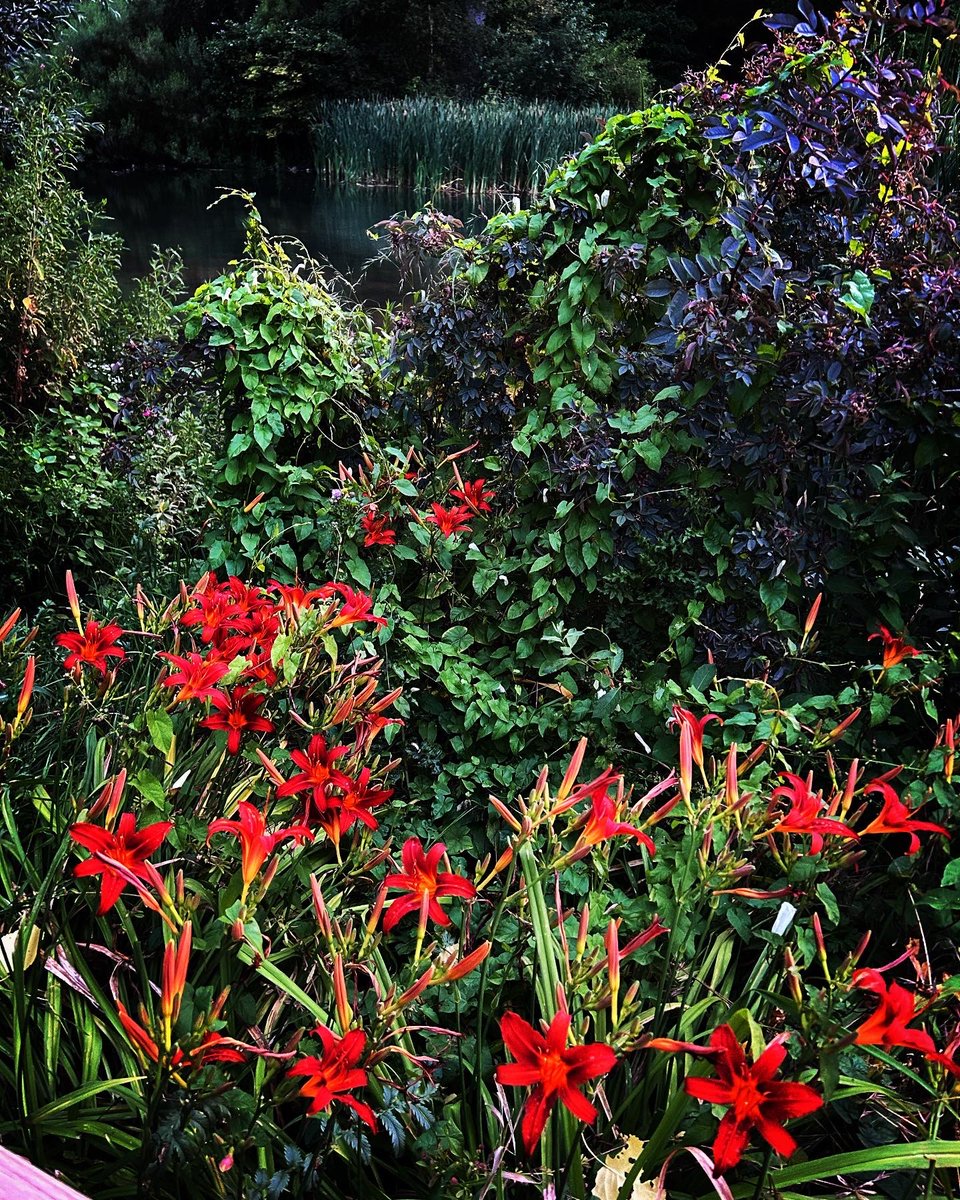 Dr David Bennett tweet media