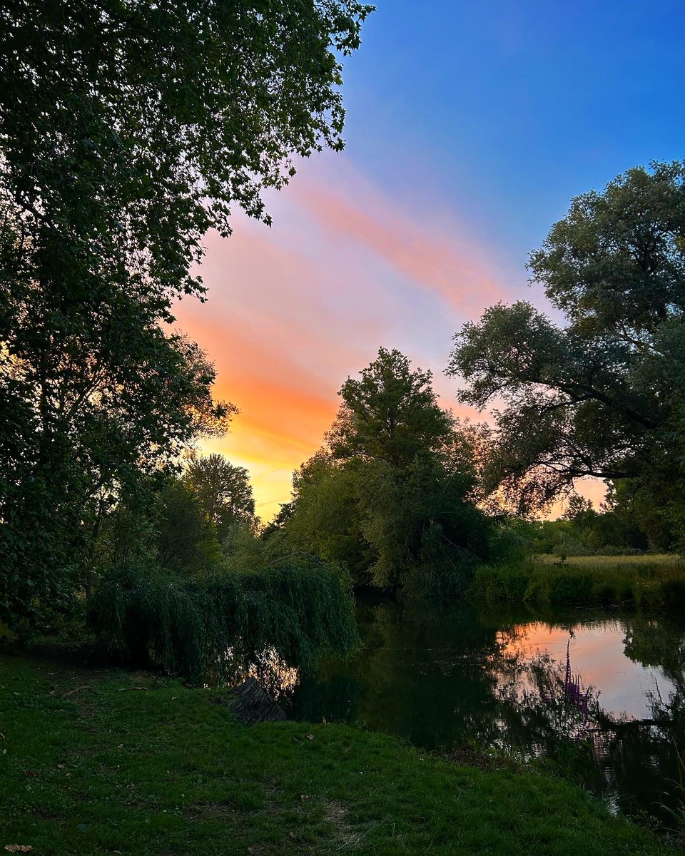 Dr David Bennett tweet media