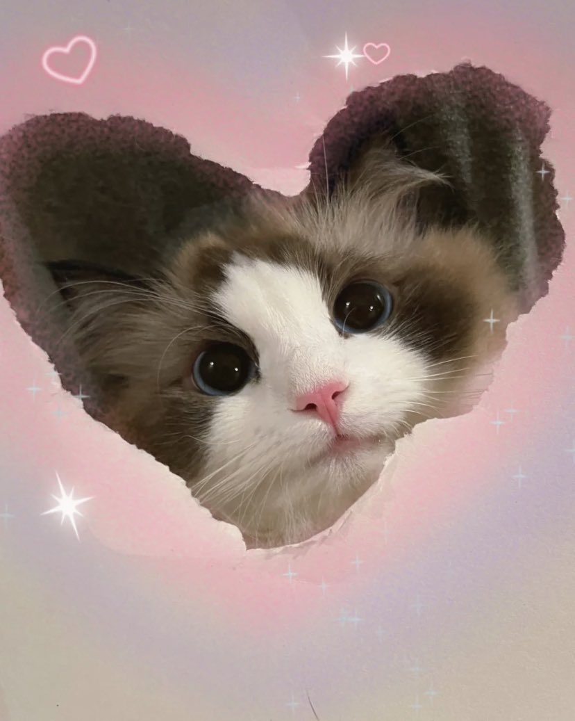 ♪⃣ 𓈒 ݁ 𓏲𝄢 tweet media