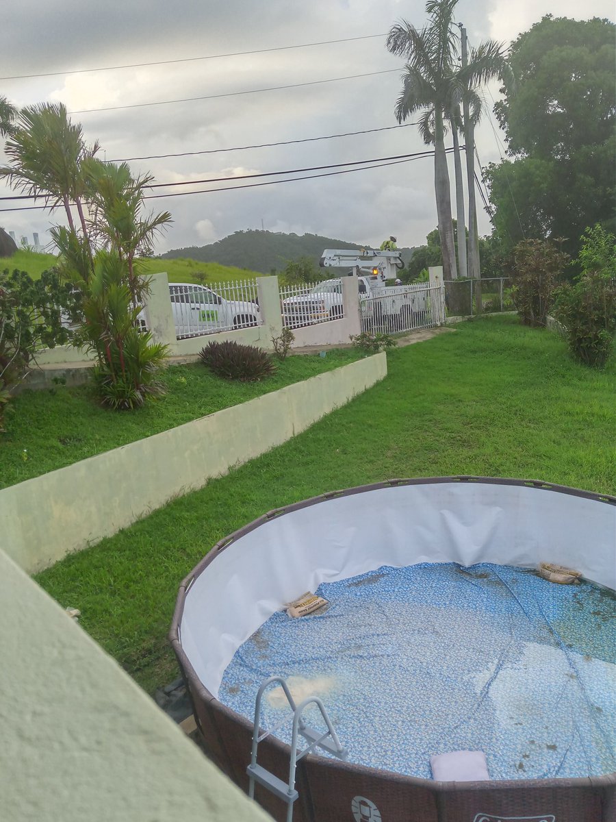HildaHamarcanto's tweet photo. When a couple of branches from a palm tree leaves the neighborhood without electricity you are in pr https://t.co/1bd0jwaXM4