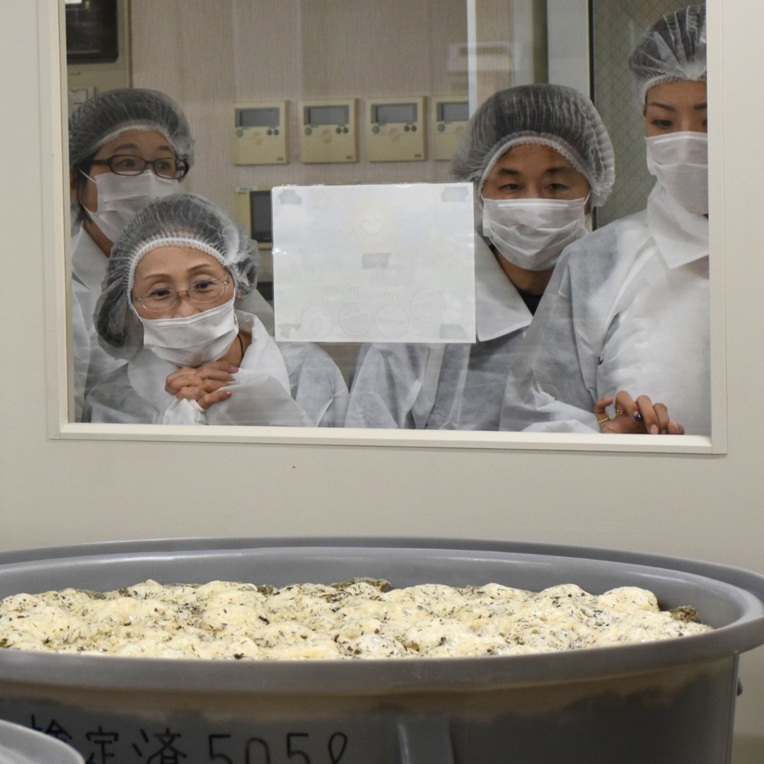 Behind the scenes inside the Japan factory where our patented 1 year+ fermentation process takes place, the bubbles they're seeing are live active enzymes.

#fermentation #factory #soilbacteria #behindthescenes #handmade #fermentationscience #harvested #enzymes #aminoacids