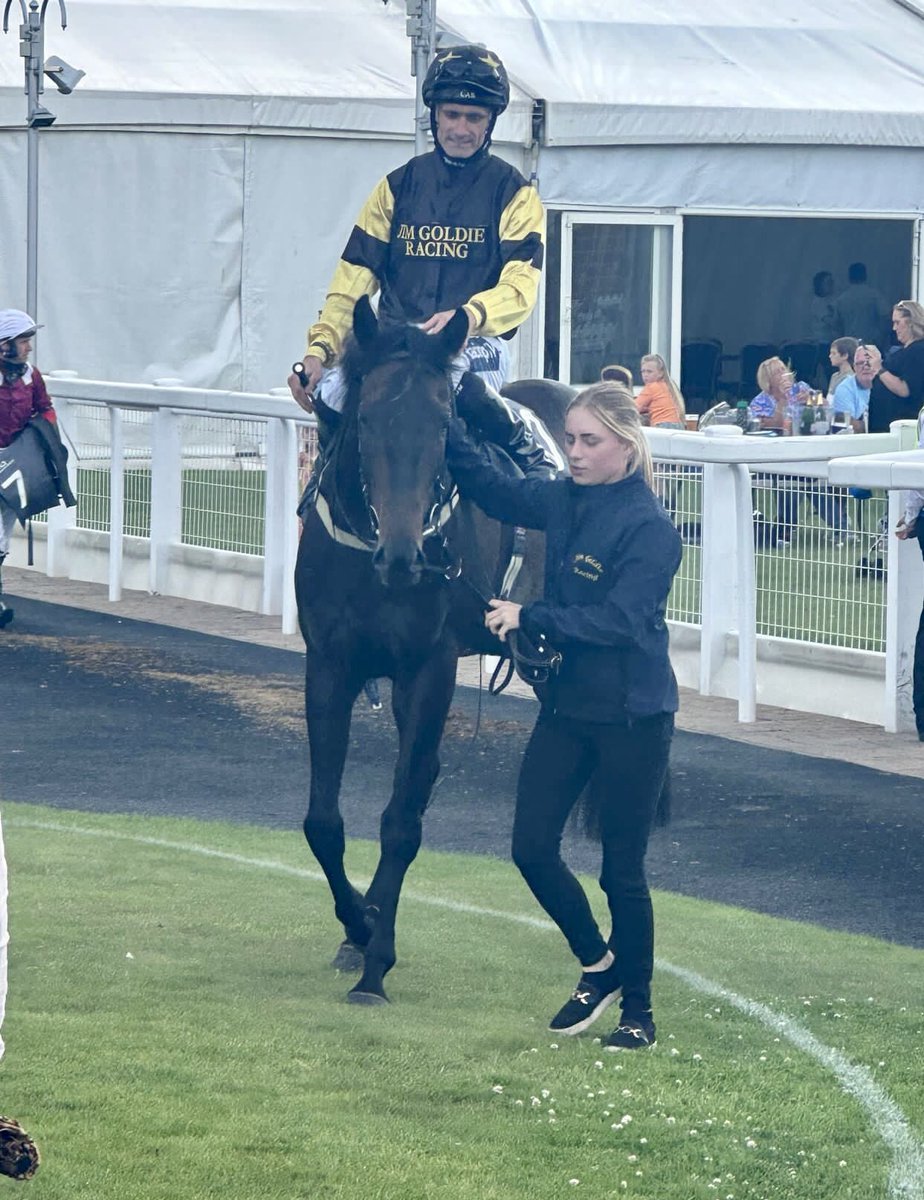 Our 2 home bred sons of our former stars Orientor & Gargoyle Girl won the 1st & last races @ayrracecourse under @jack_nicholls_ & @PMulrennan & Banner Road & @samjock22 in the middle gave us brilliant treble, great day for the team! 🏆🏆🏆