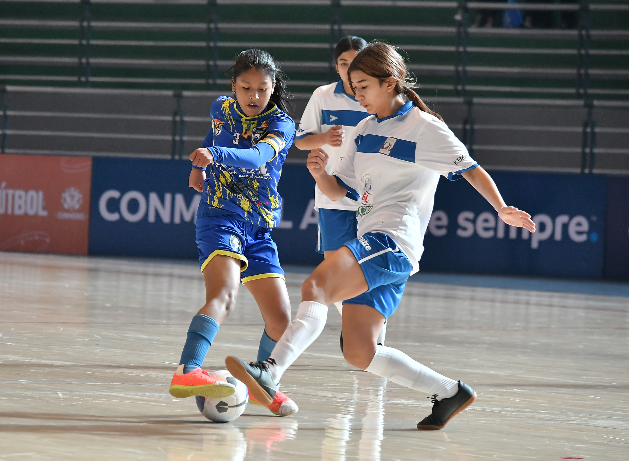 CONMEBOL.com on X: ¡Se define la CONMEBOL Liga Evolución Futsal