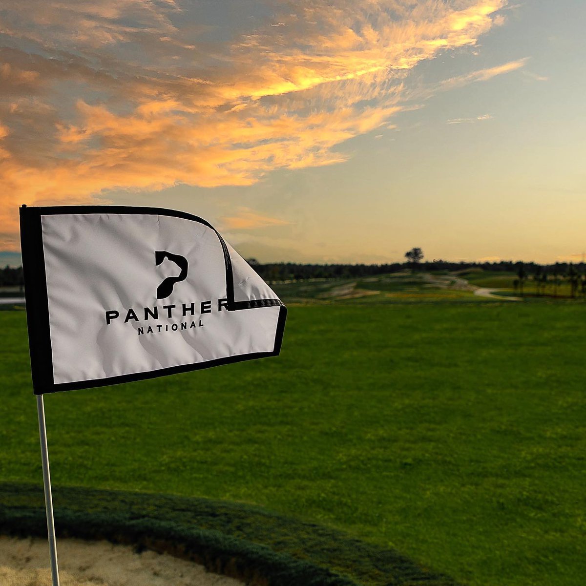 TheJulieOneill's tweet image. “Patience, persistence, and perspiration make an unbeatable combination for success.” - Napoleon Hill
#SundayMotivation #PantherNational #Golf #PrivateGolfCourses #StriveForExcellence