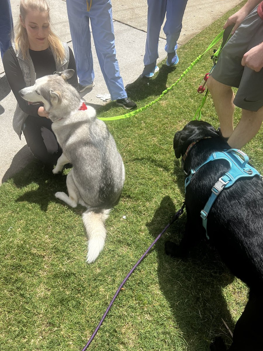 Lisa Daniels tweet media