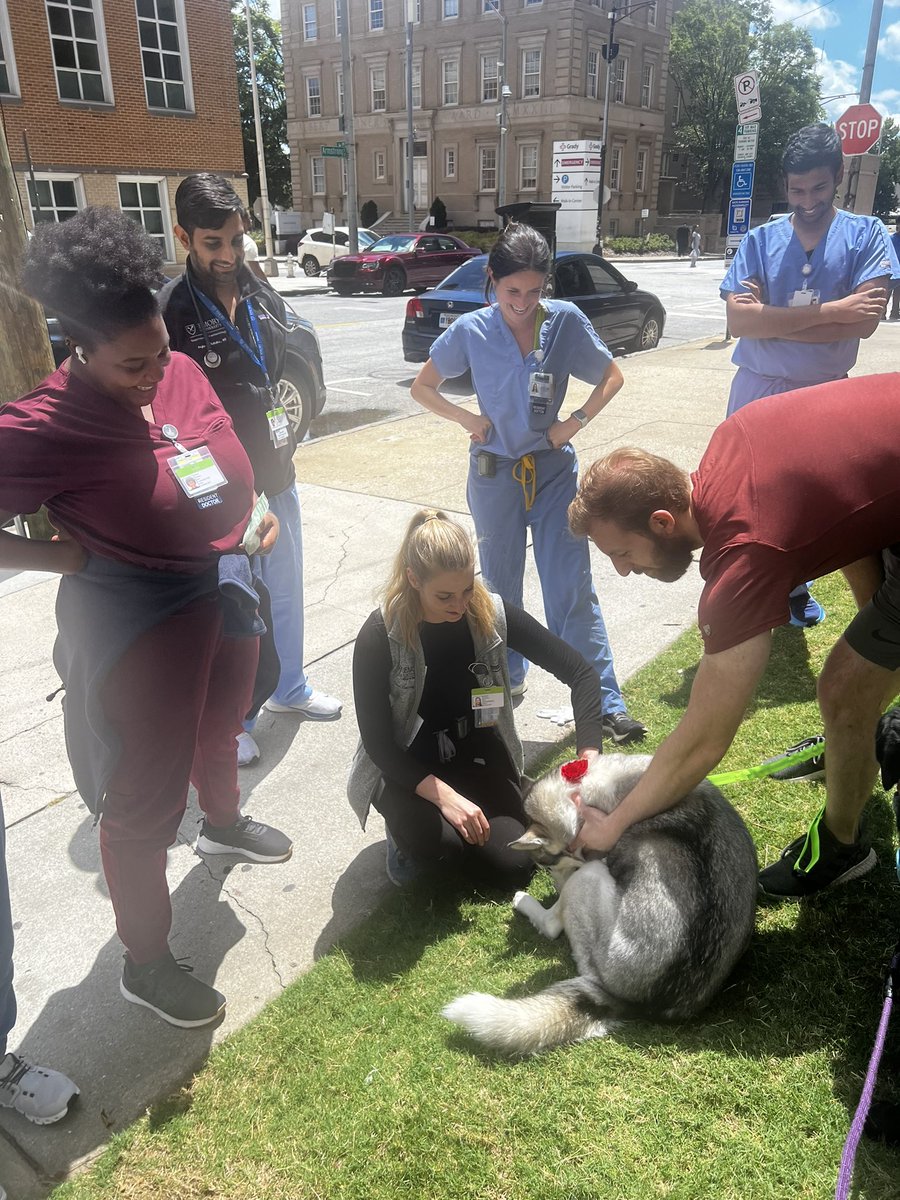 Lisa Daniels tweet media