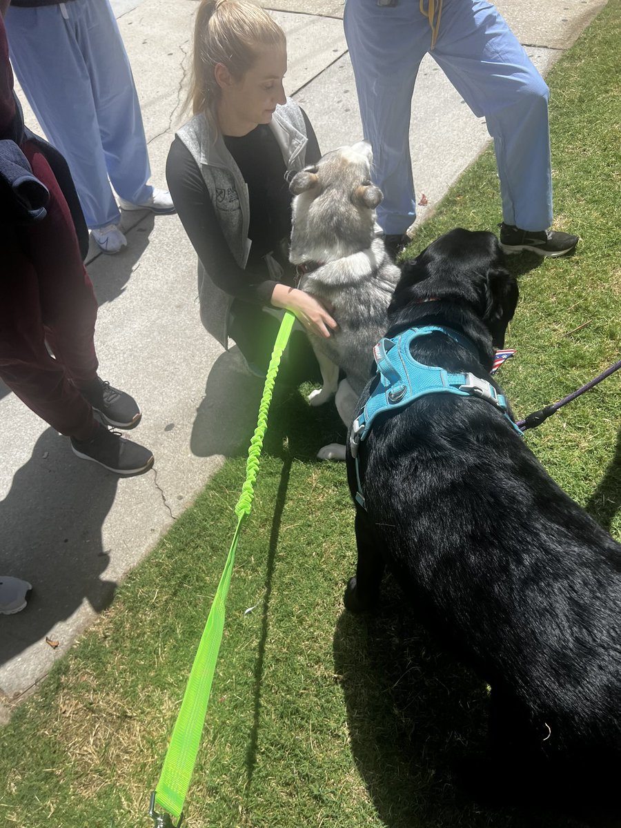 Lisa Daniels tweet media