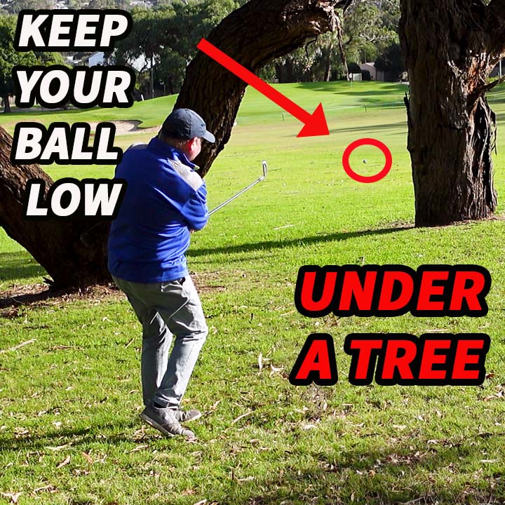 If you struggle to hit a low shot under the trees on the course this video will help.

youtu.be/GmS0WQkEcdk
#GolfDrGolfTips #TGDTours #golftips #golfcoach #golfer #golfing #golfaddict #golfpro #lovegolf #golfshot #golflesson #golfinstruction #BayViewsGC #LangLangGC #DorsetGolf