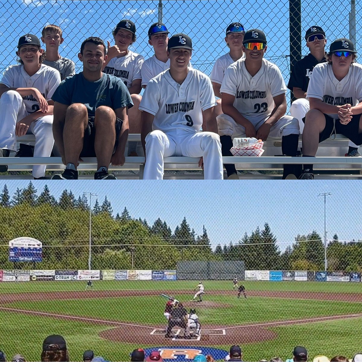 LC Baseball Club tweet media