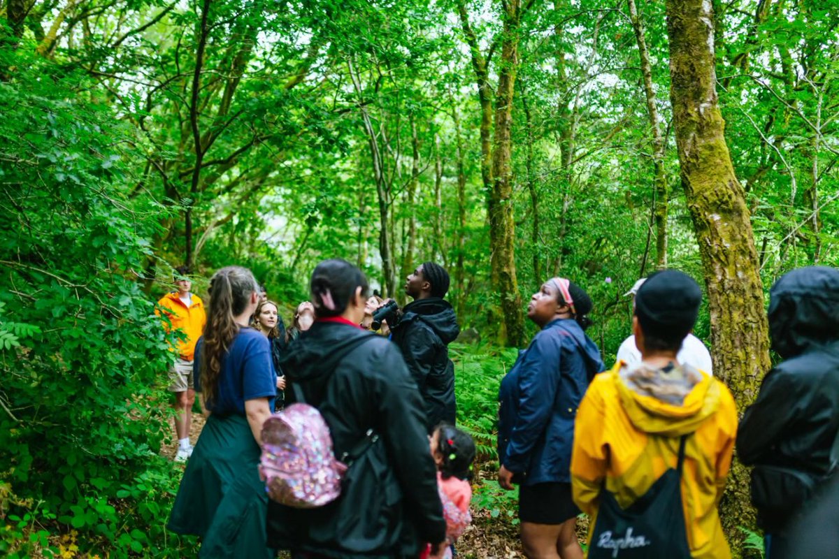 CIVIC SQUARE tweet media