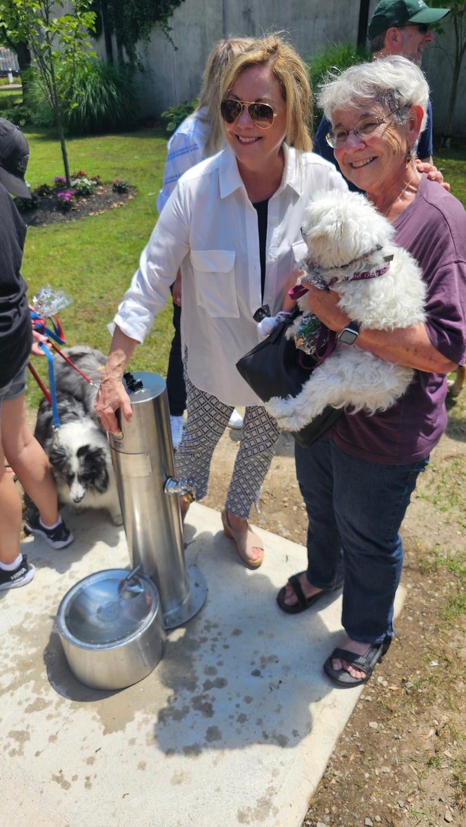 LI-DOG: Long Island Dog Owners Group tweet media