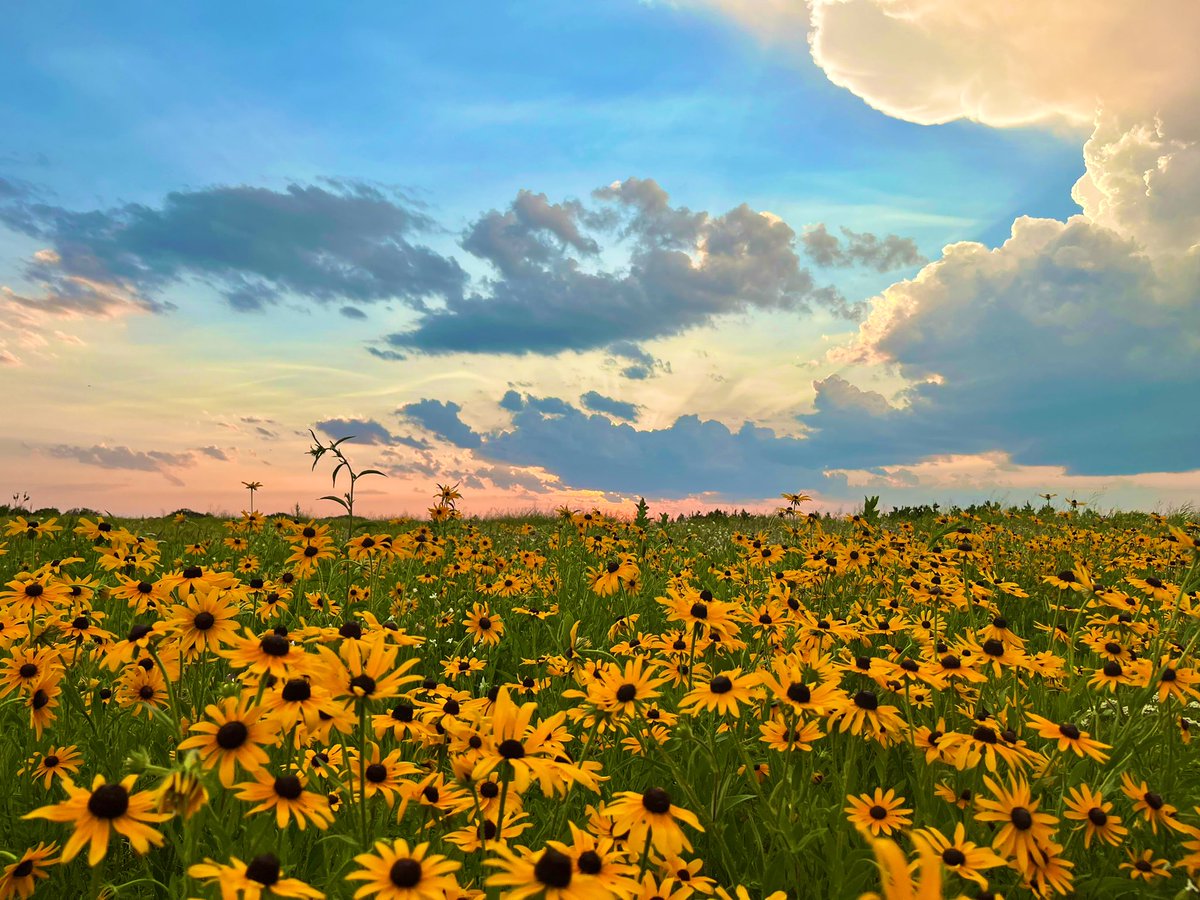 Portrait or horizontal?