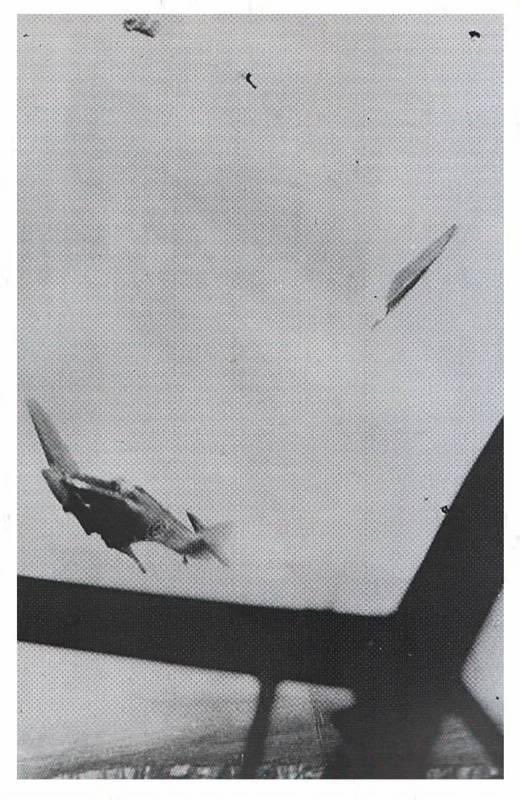 Dunkirk_1940's tweet photo. 4/4
This remarkable picture captures just after his plane collided with the German bomber. Centre right of this image you can make out his wing and top centre you can just see the pilot and his canopy deploying.
#BoB83 #TheFew #RAF 🇬🇧
#LestWeForget🌺 https://t.co/D11tw782DQ