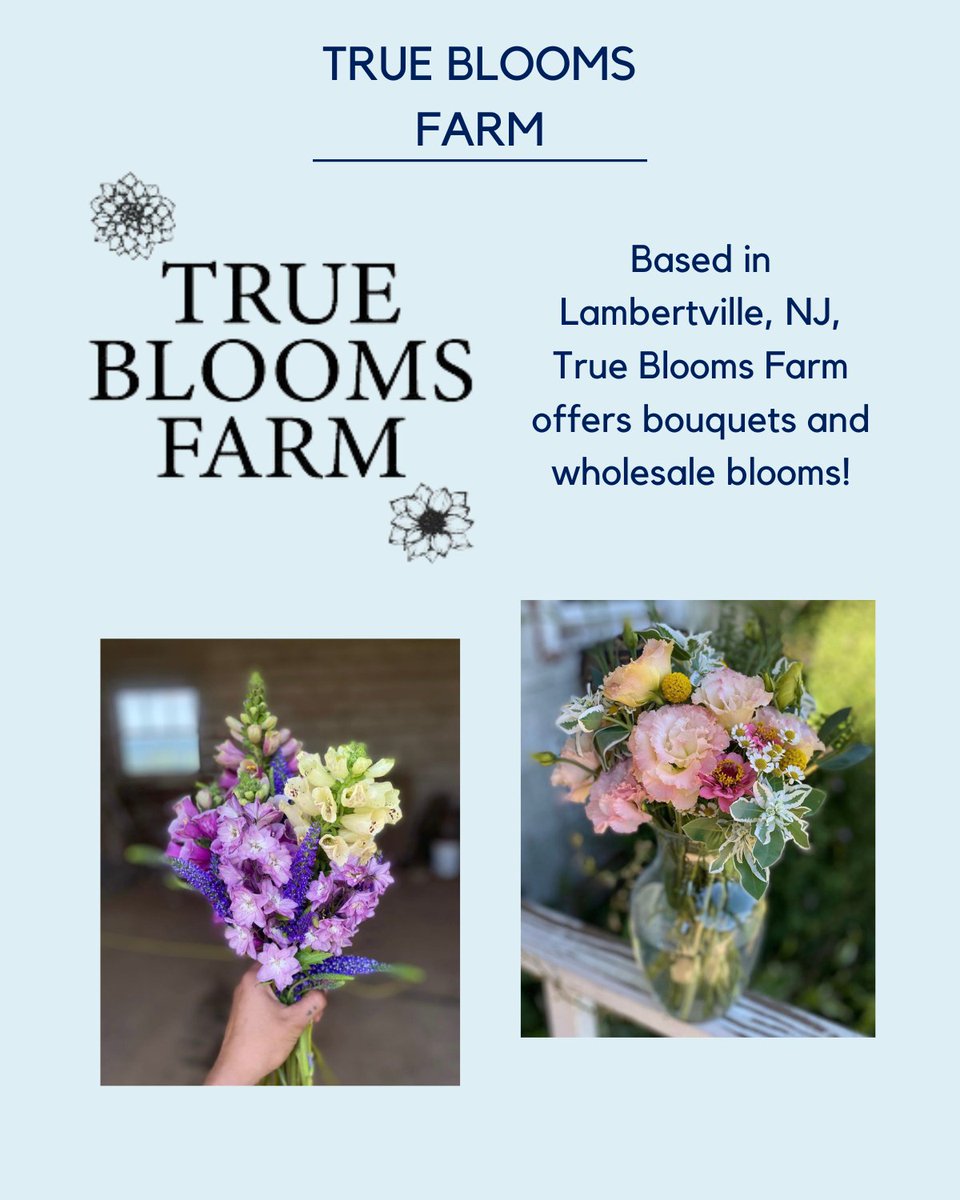 Housing4All's tweet photo. #PintsForAPurpose Vendor Spotlight - Product & Experience Edition (part 1!)! 🍻
Get excited for an array of incredible vendors on July 15th!
@thirdcrowcandles 🕯️
@soulsafari_naturals 🧼
@truebloomsfarm 🌸 https://t.co/r4iyRbrNLg