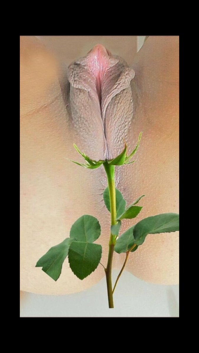 mert GEBZE (@mert752054621) on Twitter photo 