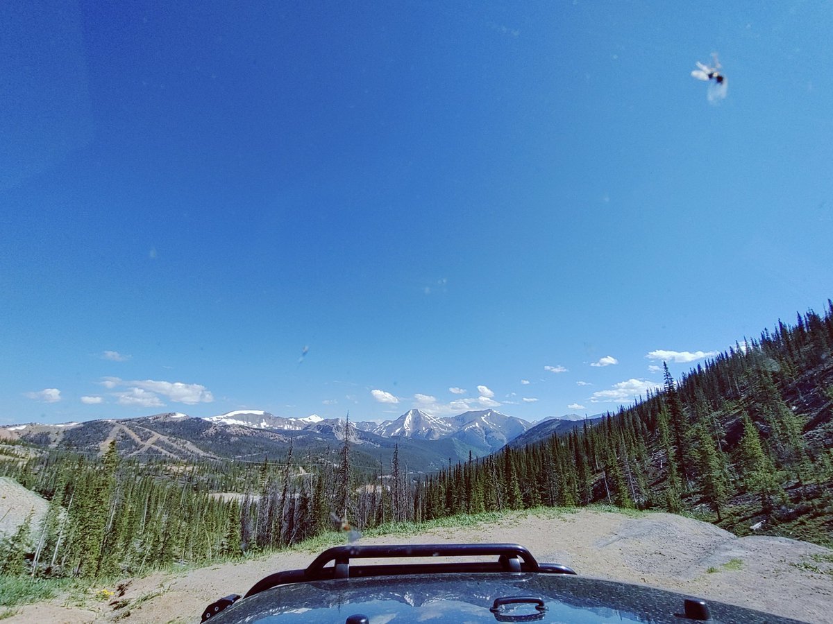 7bradbaker3's tweet photo. Recent #jeepView https://t.co/WS17oWnYzy