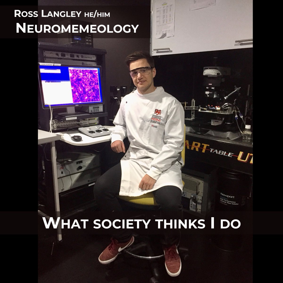 YTS_UTAS's tweet photo. #MemeMonday brought to you by neuroimmunologist @RossLangley11 
"Does sticking a magnet on your head make you smarter? The short answer is yes!" 
Thanks Ross https://t.co/KfePRVZDq6 https://t.co/c98Ja6Ugq7