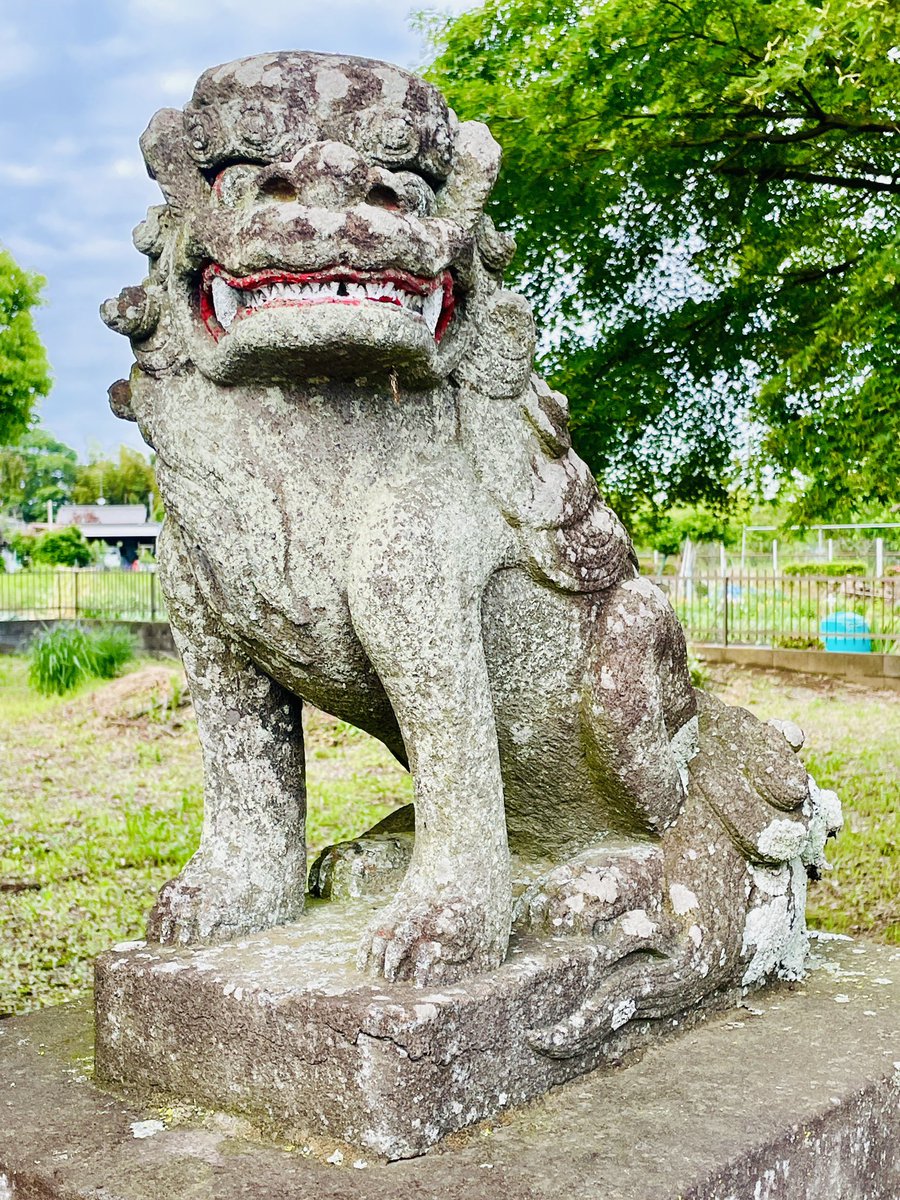 「木野崎香取神社の狛犬」①
(千葉県野田市木野崎)
①神社全景　
②拝殿
③吽形　昭和6年(1931)1月元旦
④阿形　石工:大宮町　北見清光山
#木野崎香取神社　#狛犬
続く