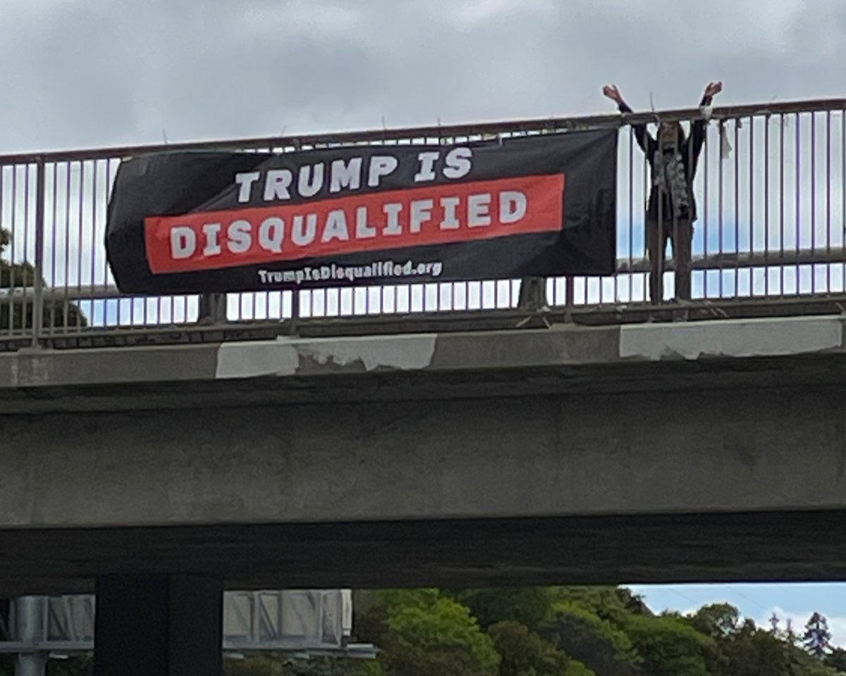 Try to overthrow the wholly valid 2020 election? Then you don't get to run for office.
Today we reached hundreds of drivers and passersby. Tell
@CASOSVote
that #TrumpIsDisqualified! #TrumpIsDQed #14Point3 #CA14Point3 #14thAmendment #Insurrectionist freespeechforpeople.org/trump-is-disqu…