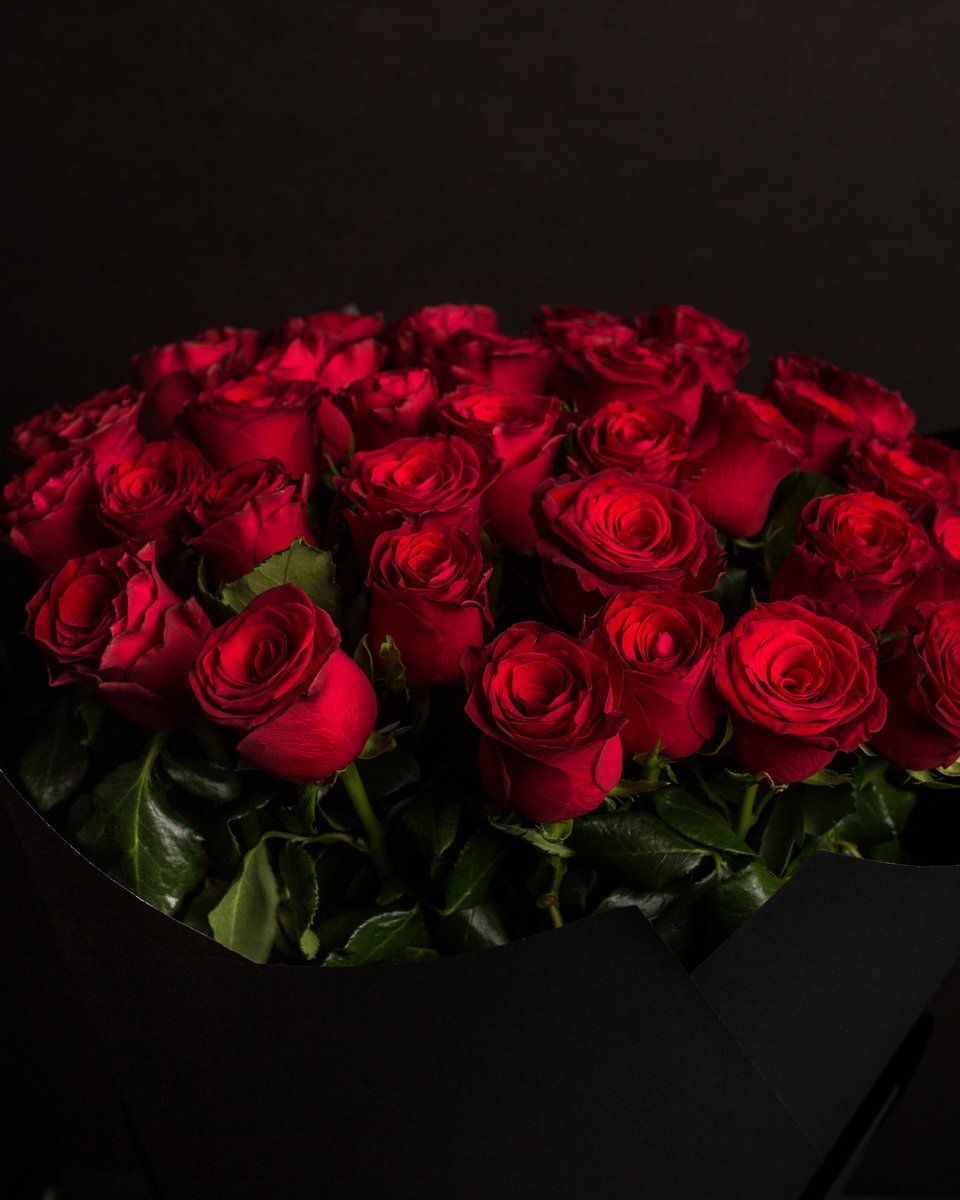 Dora 🇵🇸 tweet media