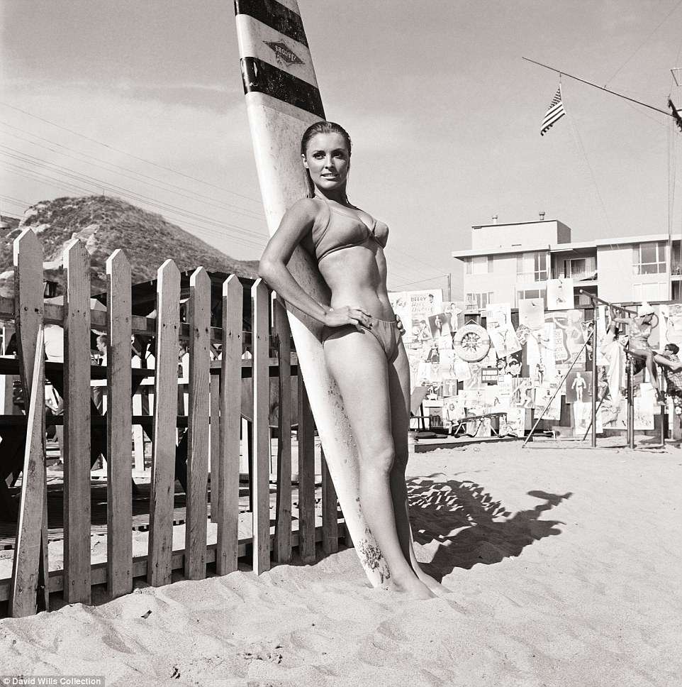 Sharon Tate acted in the 1967 sex farce, Don't Make Waves that inspired the toy company, Mattel, to produce Malibu Barbie based on her film character. https://t.co/xSKrsHNFqp