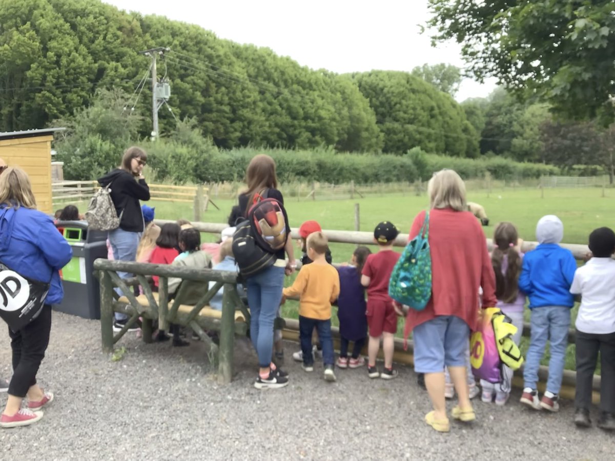 Our Reception Children enjoyed a lovely visit to Hoo Zoo! They also travelled 65 million years back in time with Dinosaur Ranger John!