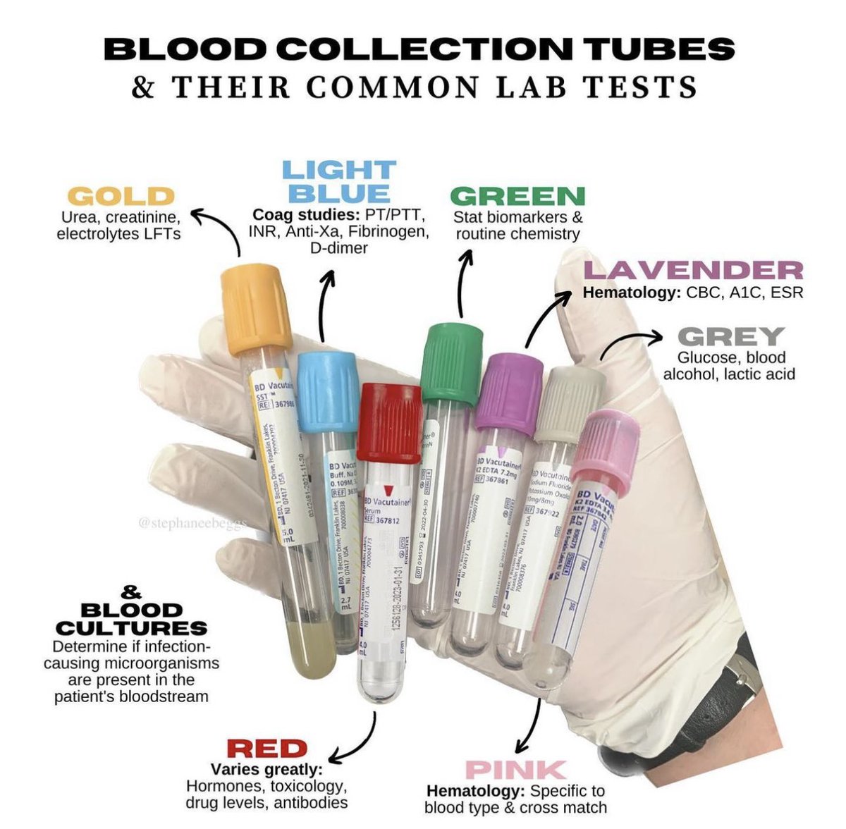 Medicinemia's tweet photo. https://t.co/D9WUGLGb2r