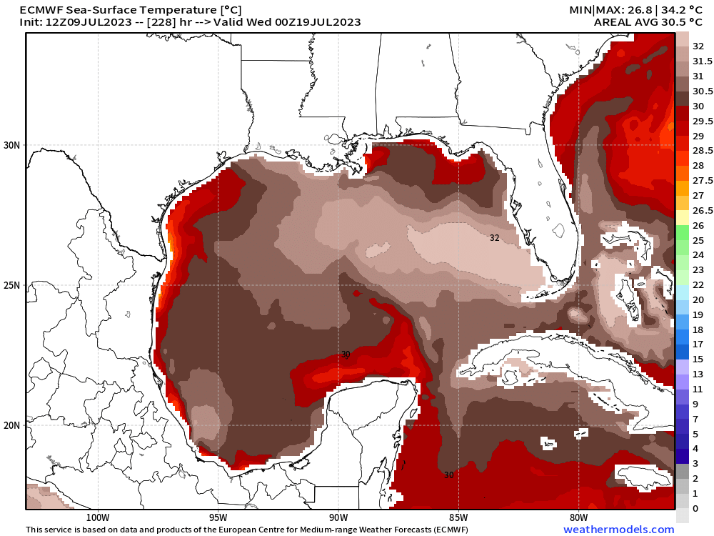 RyanWeather's tweet photo. @AndyHazelton Broke my color table at 32°C. Max is 34.2°C from ECMWF HRES SST during forecast. https://t.co/BzNqcZXT7d