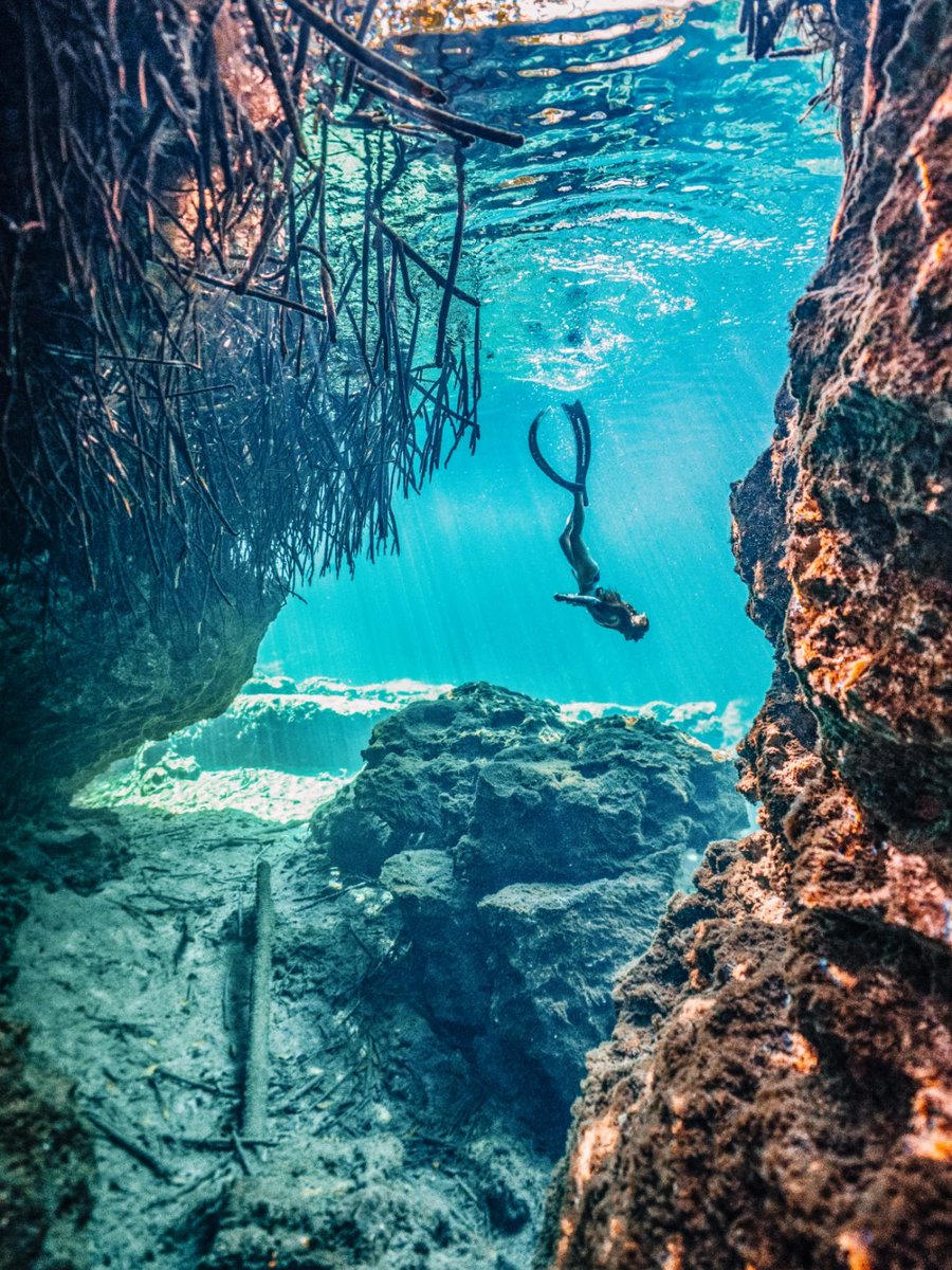 VeraaaYang's tweet image. Too much miss Palau's rays and sharks, Mexico's caves and 🐊 never get tired of the ocean 10 times 🌊 #notesinspiration #afterthebanis #diving #freediving #godivingtogether #travelphotos
