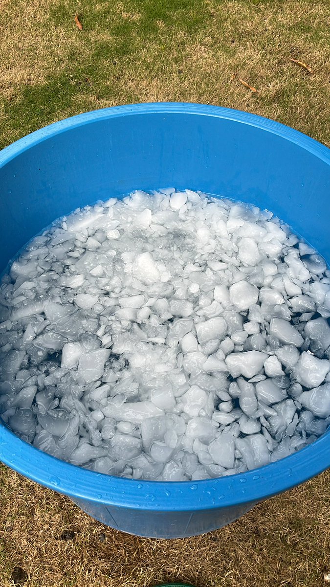 Time to cold storage!!!