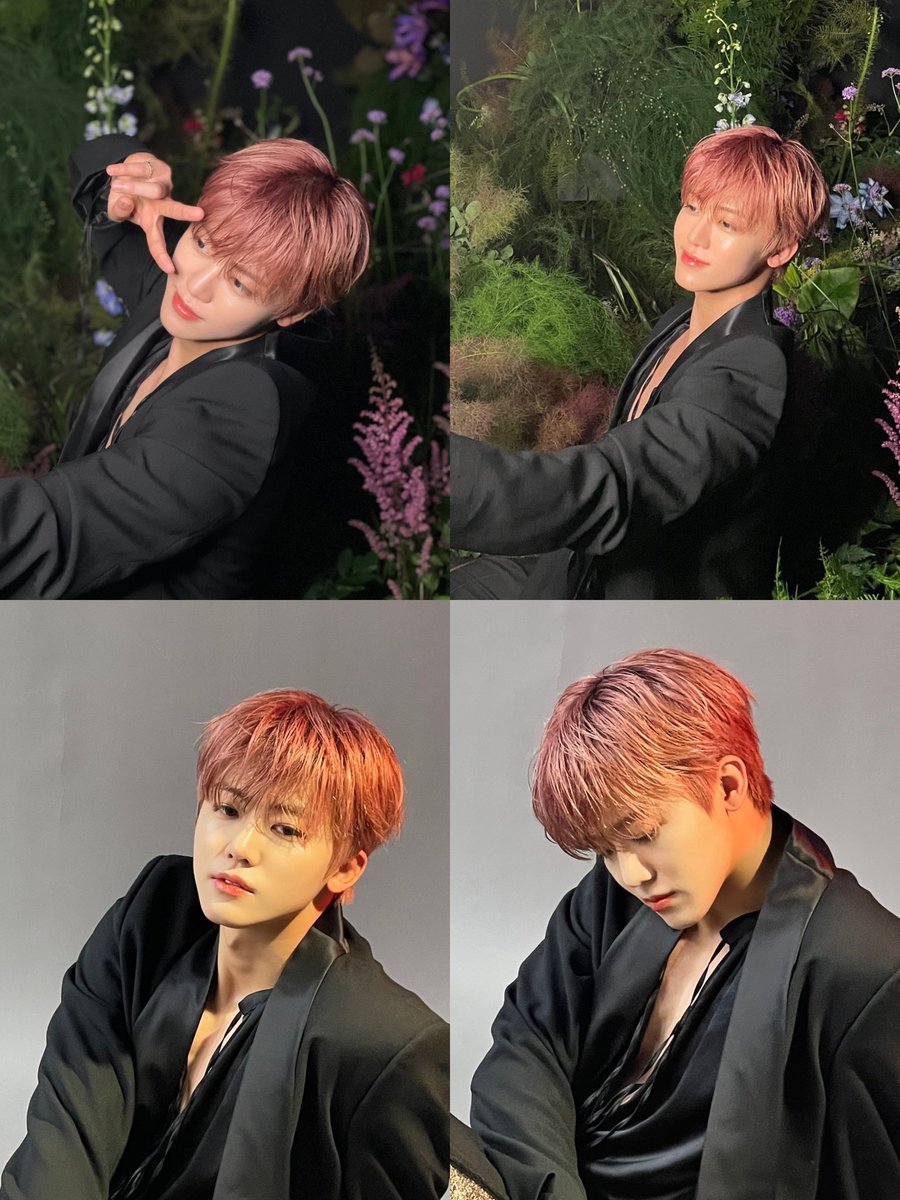 𝙉𝙤.𝟗 tweet media