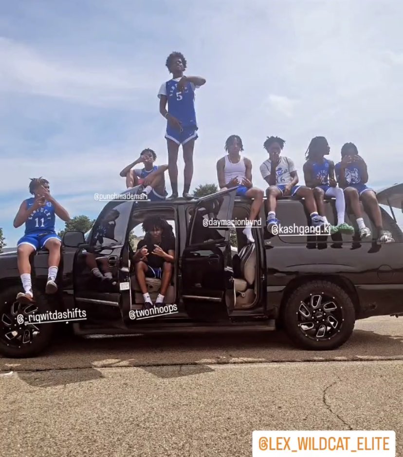 Lexington Wildcat Elite tweet media