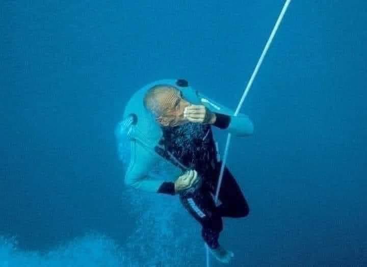 ”The famous Italian diver Enzo Maiorca dove into the sea of ​​Syracuse and was talking to his daughter Rossana who was aboard the boat. Ready to go in, he felt something slightly hit his back. He turned and saw a dolphin. Then he realized that the dolphin did not want to play