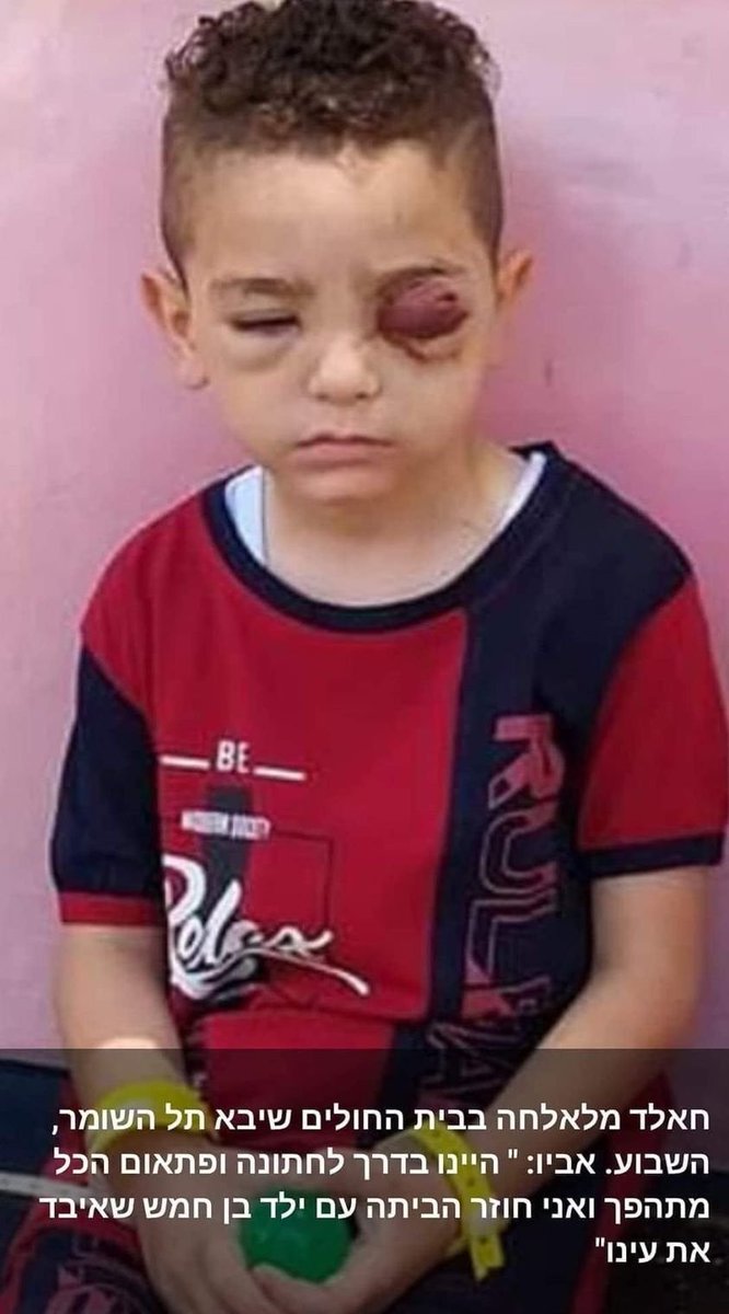 #PalestinePeaceCampaign PPC🌹🕊️🇵🇸 tweet media