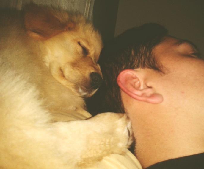 jairosalazar's tweet photo. A Simona la adoptamos cuando tenía dos meses, Uds no saben lo espectacular que fue ese #MomentoGold la fuimos a recoger a un apartamento en Pontevedra, era una bola de pelos muy divinísima https://t.co/gTqBHnbzlN
