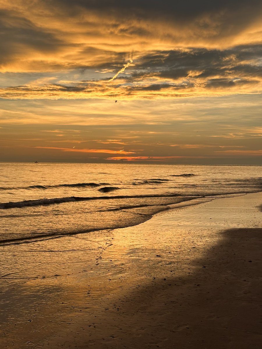 hannerpj's tweet photo. Siesta Key Beach, Sarasota, FL, is exactly what I needed to rejuvenate! https://t.co/wfr1yPB9BY