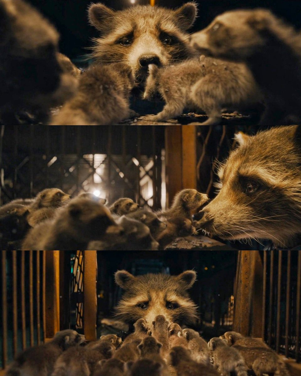 MarvelDato's tweet photo. Esta escena es simplemente cine🚬

#GuardiansOfTheGalaxyVol3 https://t.co/pi7PrbVN4I