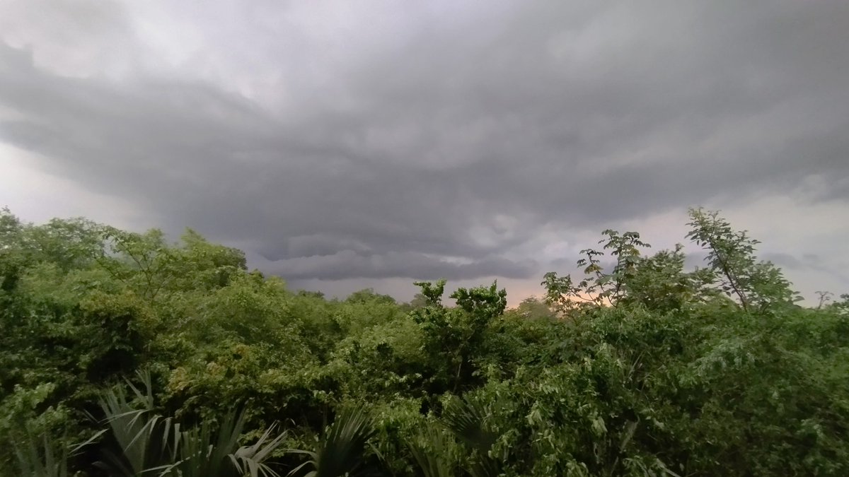 somarz's tweet image. Se atormenta una vecina #trolltab