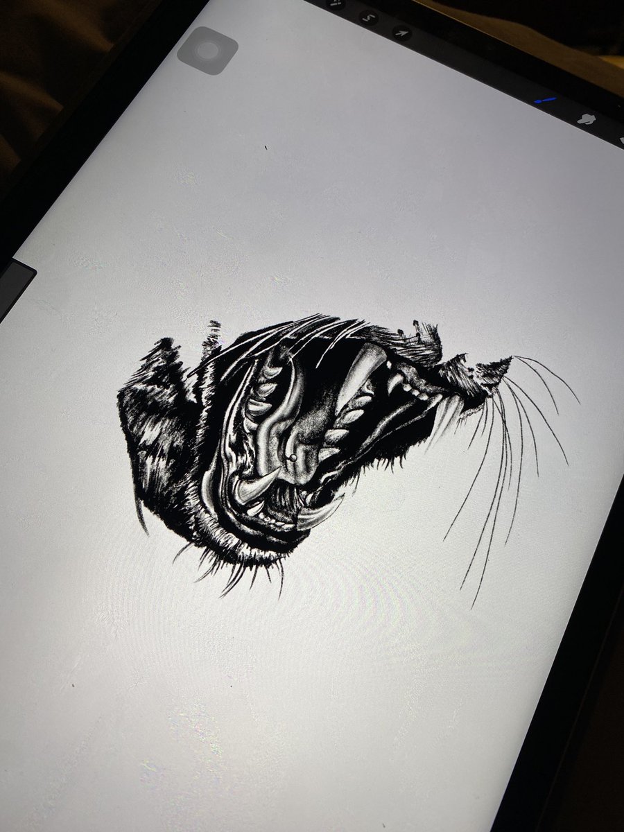 peterickard's tweet photo. Finally started this dumb ass, beautiful, freakin piece I’ll likely never tattoo 🙃😂please book animal pieces with me😭 https://t.co/47pgUxiI4S