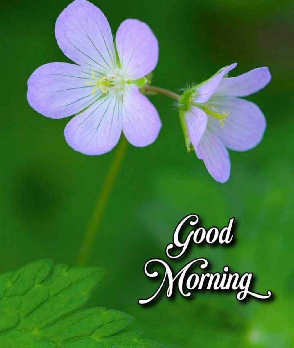 Rahul94235400's tweet photo. @deepikad2u Hi https://t.co/E8LoU8iNFk
