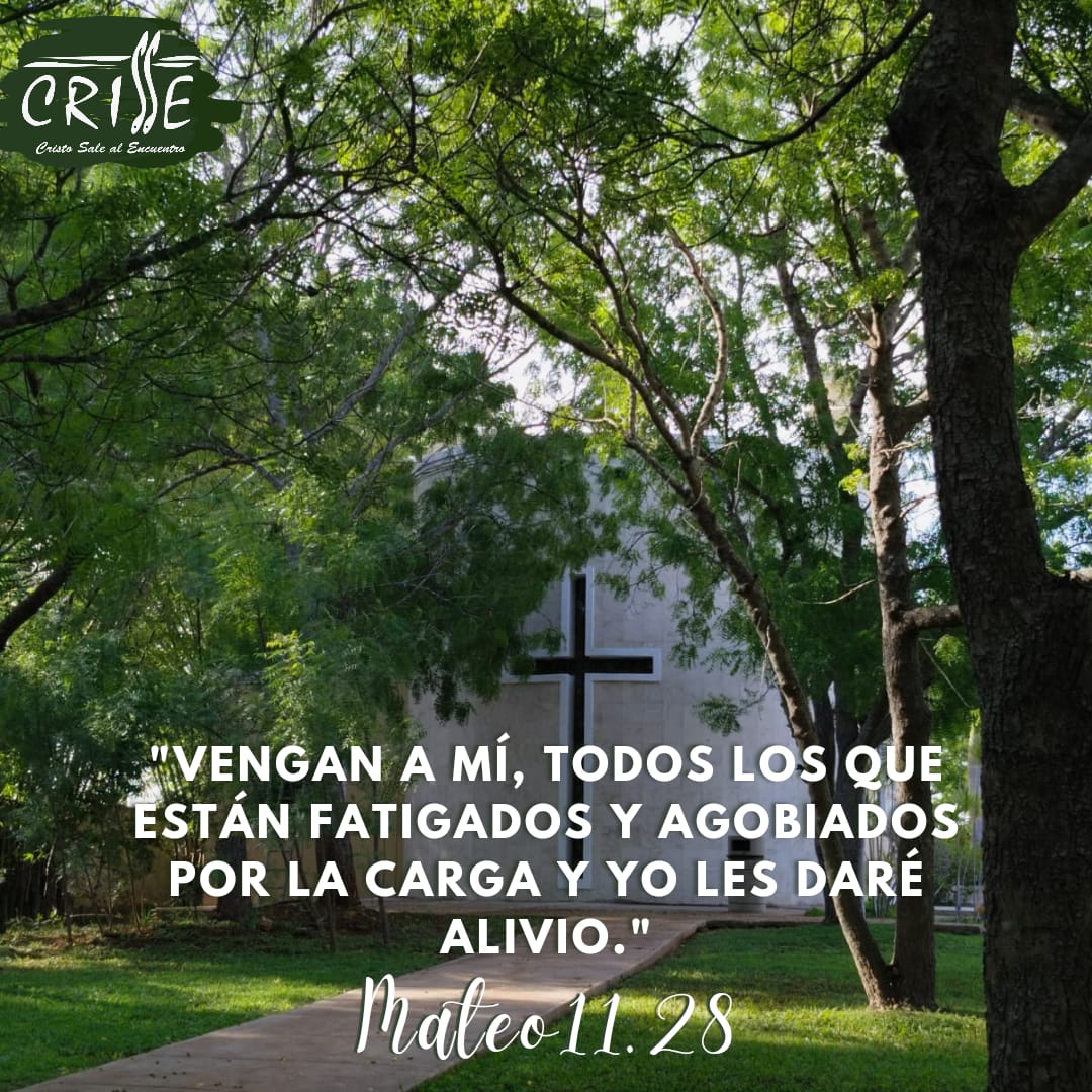CrCrisse's tweet photo. EVANGELIO SE HOY 💬✝️

Jesús sabe cuánto nos puede pesar nuestro caminar, por los problemas, las heridas, la desilusiones y demás. Pero nos hace la invitación a TODOS de ir con Él, de acercarse a Él, subir la mirada y ver qué nos extiende la mano aquél que nos ama...🫴🏻❤‍🩹 https://t.co/UG8FmzSMlc