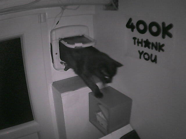 Pépito is back home (02:40:13)