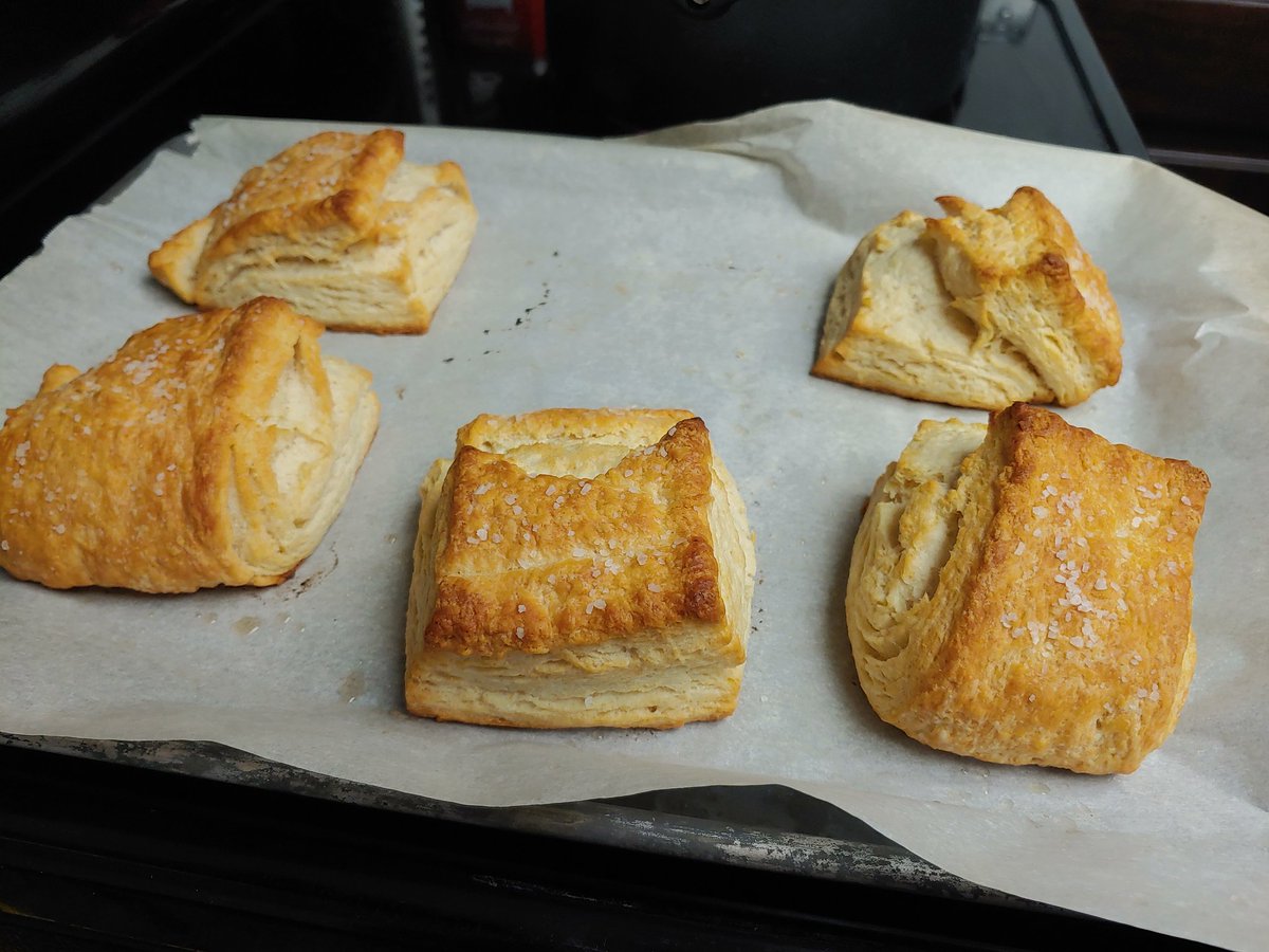 Tried making biscuits from scratch for the first time. I think I did pretty okay.