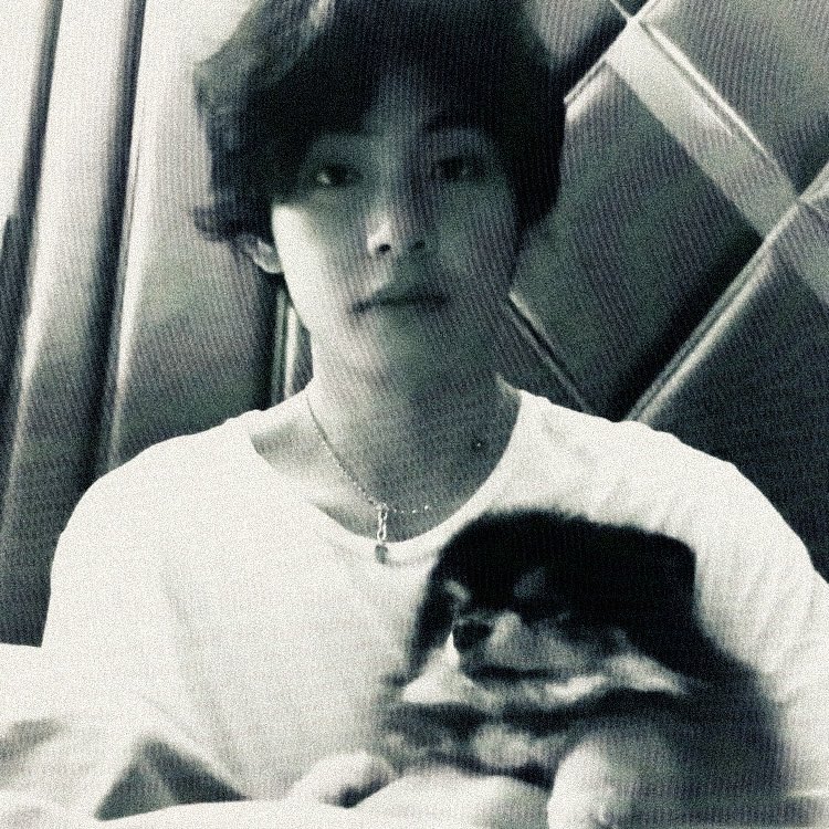 dittcore's tweet image. 我的旧笔记本电脑网络摄像头的录音，其中包括我家的狗。