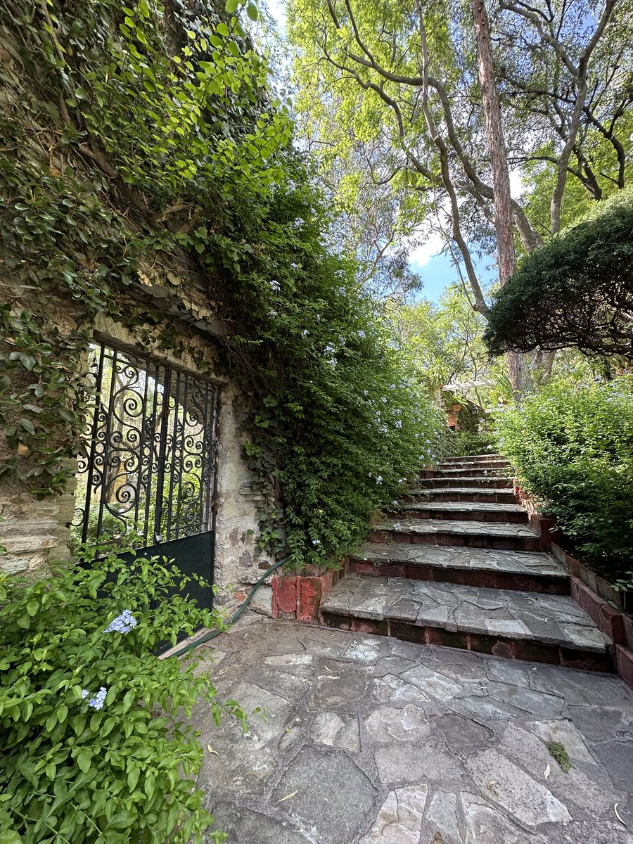 El Jake Arriaga 😎 tweet media