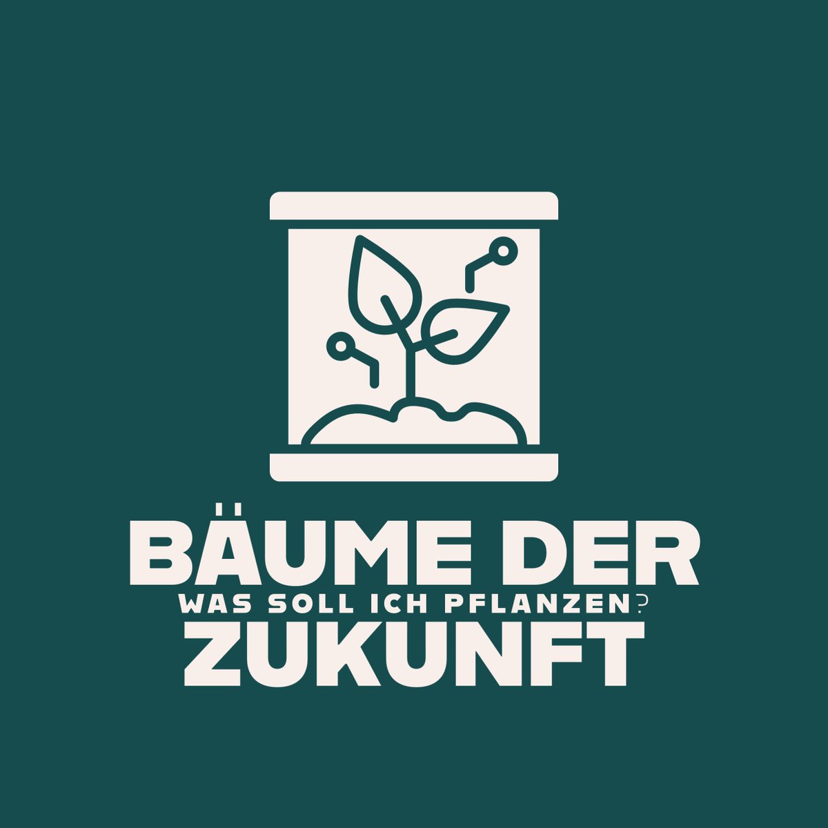 Moin aus Hamburg! Diese Woche darf ich den Kanal <a href="/realsci_DE/">Real Scientists DE</a> übernehmen und über meine Forschung berichten. Es wird um #Forstgenetik, Bäume im Klimawandel, #Biotech und #CRISPR gehen... 🌳🧬
