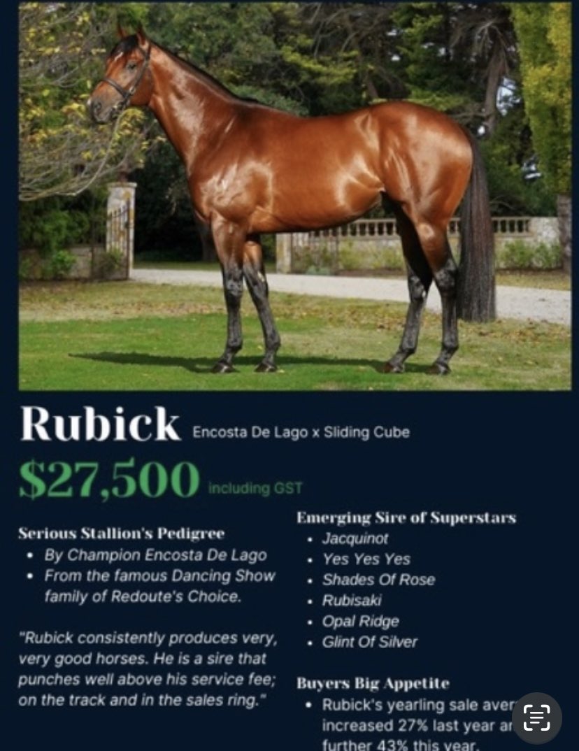 SwettenhamStud's tweet photo. #COLOMBEDOR 4M 🟩🟦Rubick🟩🟦 x Lashezz (Zabeel) lands win #2 over 1433m at Werribee Vic for Ballarat Tr @cmaherracing & Jk #BenAllen ..🟩🟦#RUBICK 🟩🟦@SwettenhamStud 🟩🟦 https://t.co/yb0lobNvob