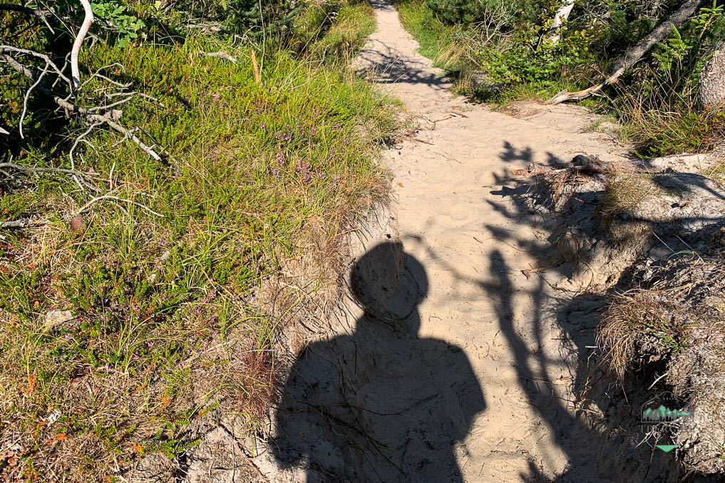 Ähnlich wie in Schweden und Norwegen gehören Trolle in Dänemark auch zu den beliebten Figuren im Kinderbuch, Vorgarten und in den Souvenirladen. #AusflugtipDänemark #Gjøl #ThomasDam #ThomasDambo #Trolle

tberg.de/trolle-in-daen…