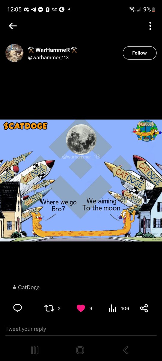 Aaron (Beo) 🐱🐶 tweet media